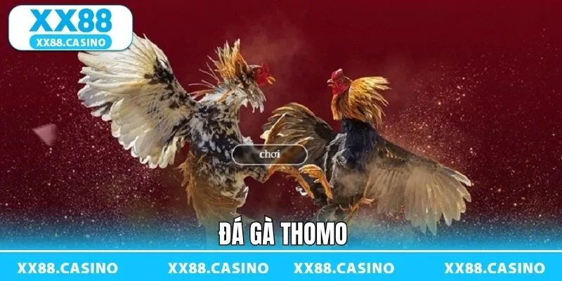 Ảnh đại diện đá gà thomo