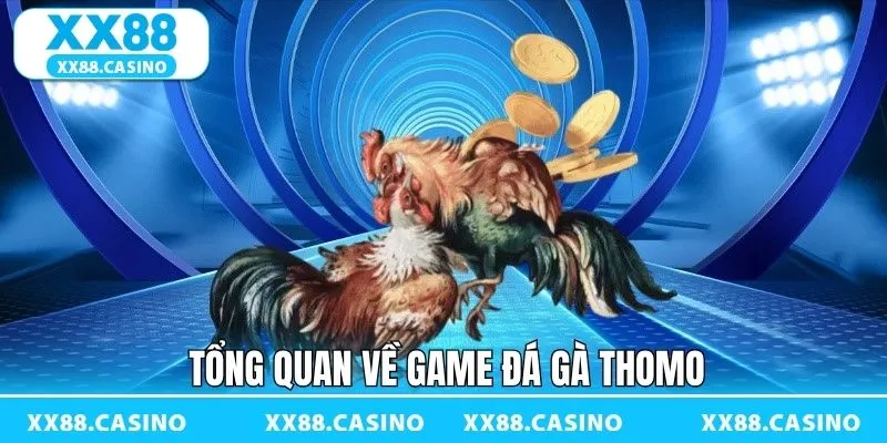 Tổng quan về đấu trường Thomo đẳng cấp